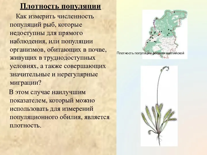 Плотность популяции Как измерить численность популяций рыб, которые недоступны для прямого