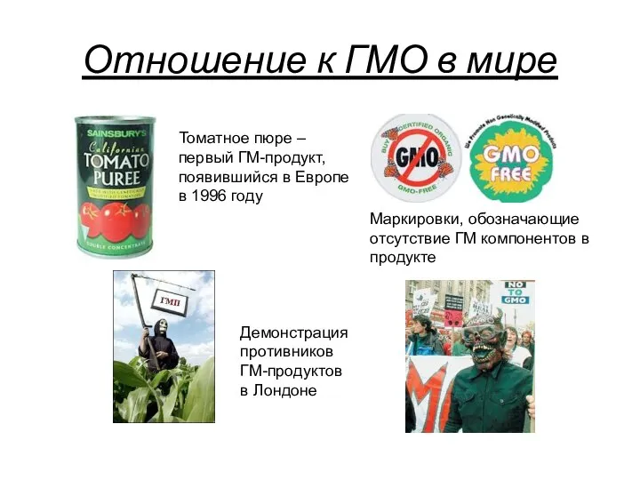 Отношение к ГМО в мире Томатное пюре – первый ГМ-продукт, появившийся