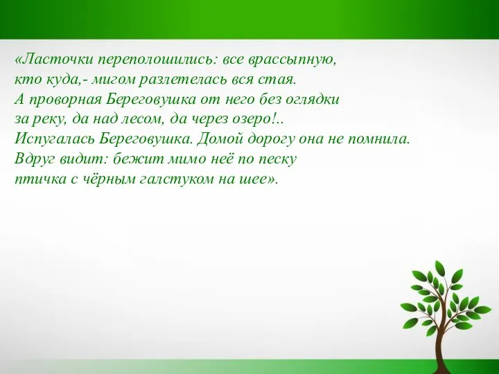 «Ласточки переполошились: все врассыпную, кто куда,- мигом разлетелась вся стая. А