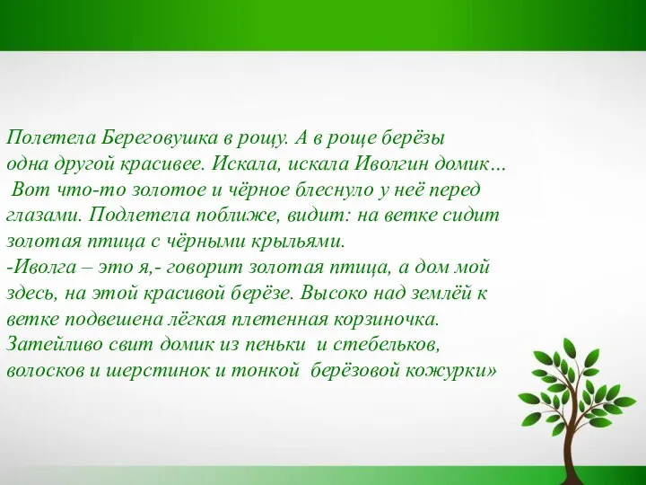 Полетела Береговушка в рощу. А в роще берёзы одна другой красивее.