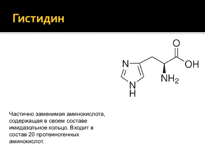 Гистидин Частично заменимая аминокислота, содержащая в своем составе имидазольное кольцо. Входит в состав 20 протеиногенных аминокислот.