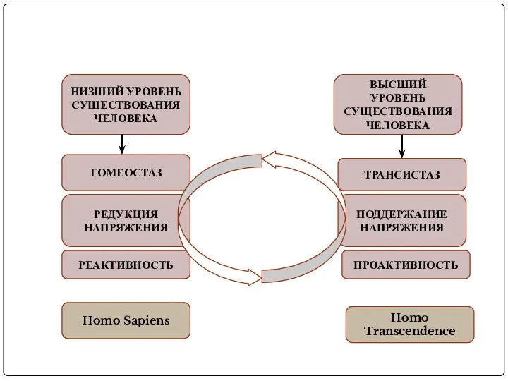 . ГОМЕОСТАЗ РЕДУКЦИЯ НАПРЯЖЕНИЯ ТРАНСИСТАЗ НИЗШИЙ УРОВЕНЬ СУЩЕСТВОВАНИЯ ЧЕЛОВЕКА ПОДДЕРЖАНИЕ НАПРЯЖЕНИЯ
