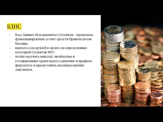 БДНС База Данных Нуждающихся Студентов - программа, функционирующая за счет средств