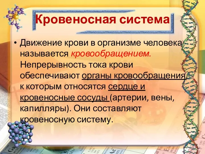 Кровеносная система Движение крови в организме человека называется кровообращением. Непрерывность тока