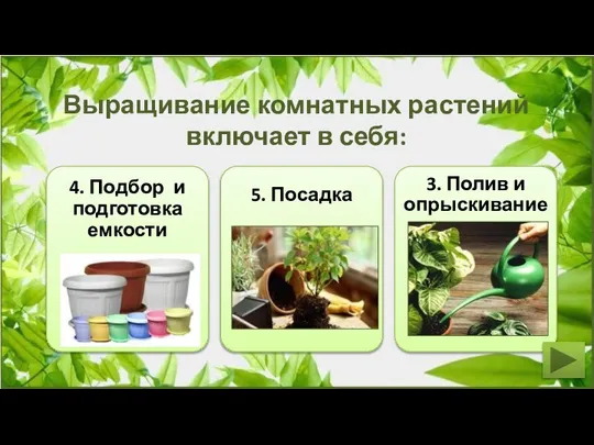 Выращивание комнатных растений включает в себя: