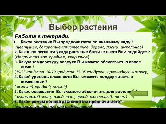 Выбор растения Работа в тетради. Какое растение Вы предпочитаете по внешнему