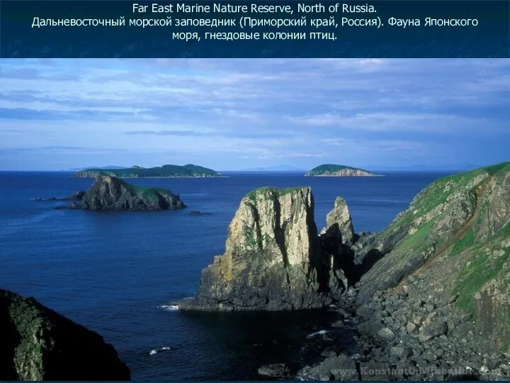 Far East Marine Nature Reserve, North of Russia. Дальневосточный морской заповедник