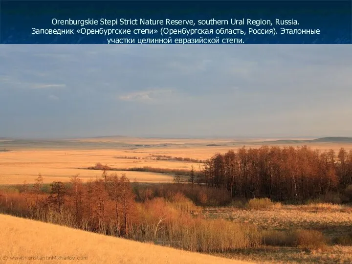 Orenburgskie Stepi Strict Nature Reserve, southern Ural Region, Russia. Заповедник «Оренбургские