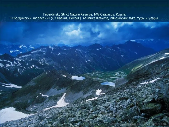 Teberdinsky Strict Nature Reserve, NW Caucasus, Russia. Тебердинский заповедник (СЗ Кавказ,