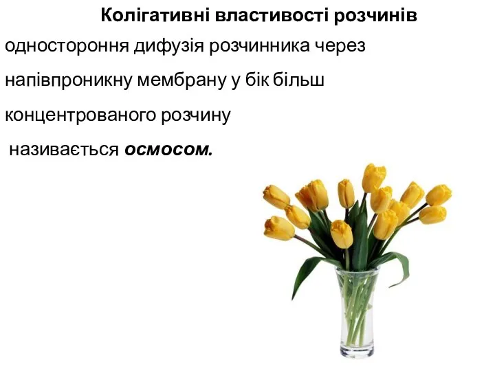 Колігативні властивості розчинів одностороння дифузія розчинника через напівпроникну мембрану у бік більш концентрованого розчину називається осмосом.