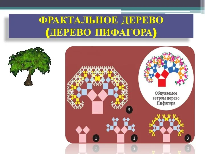 ФРАКТАЛЬНОЕ ДЕРЕВО (ДЕРЕВО ПИФАГОРА)