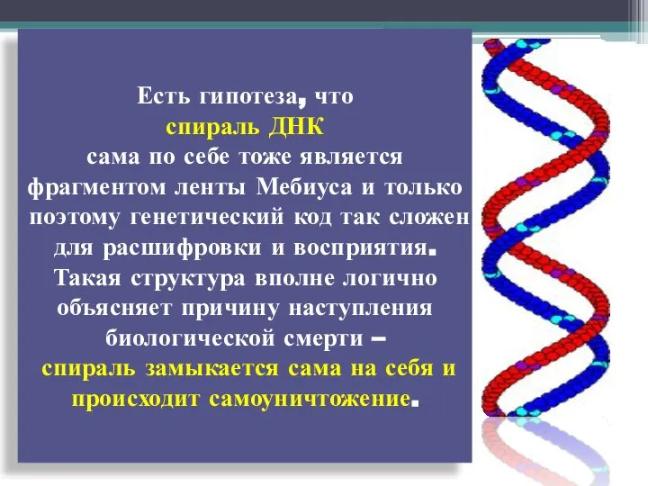 Есть гипотеза, что спираль ДНК сама по себе тоже является фрагментом