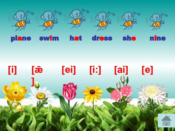 [i] [ai] [ǣ] [ei] [i:] [e] plane she hat dress swim nine