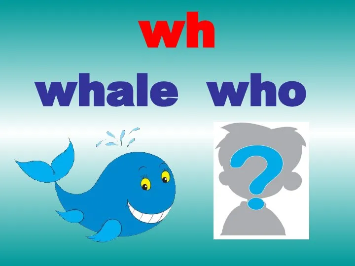 wh whale who