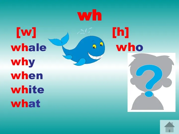 wh [w] [h] whale who why when white what