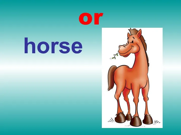 or horse