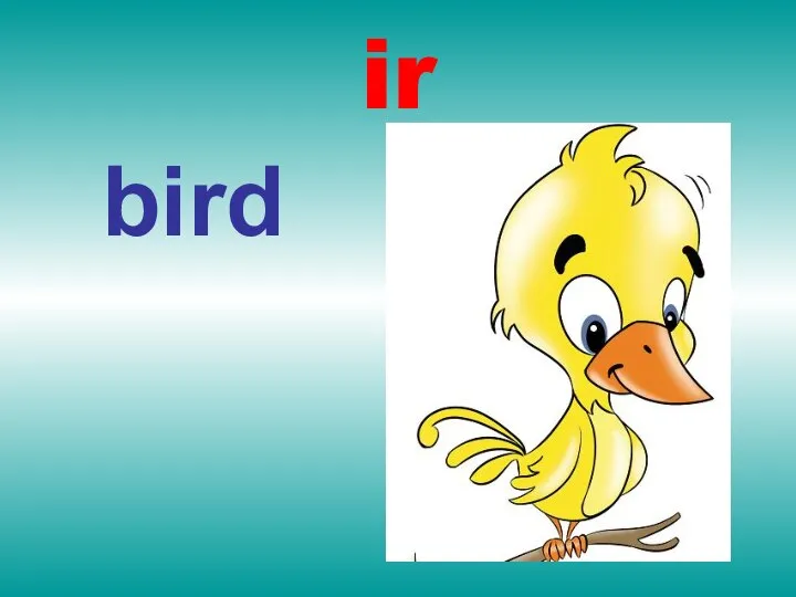 ir bird