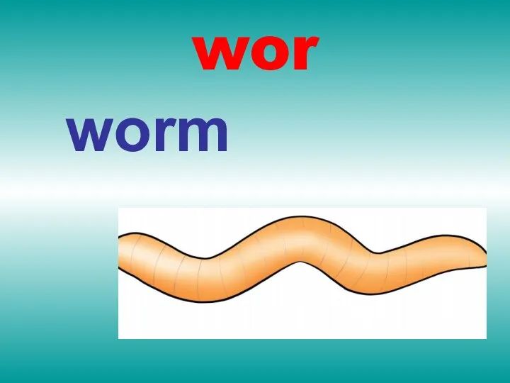 wor worm