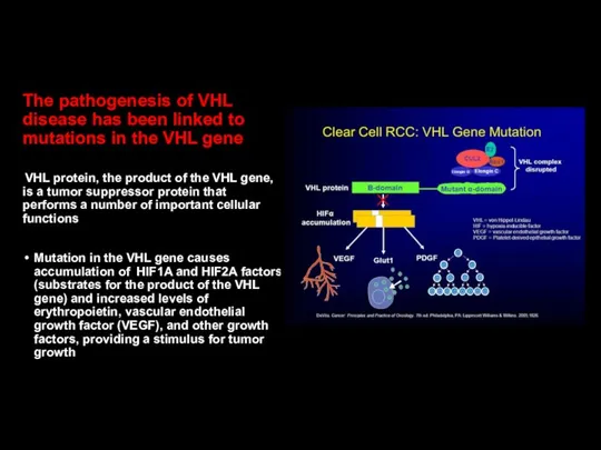 The pathogenesis of VHL disease has been linked to mutations in