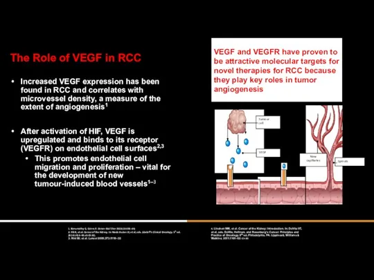 The Role of VEGF in RCC Increased VEGF expression has been