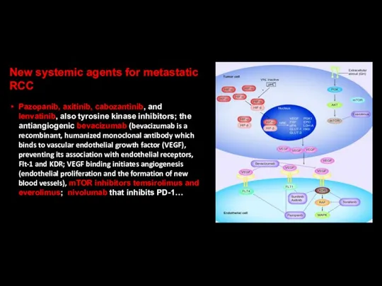 New systemic agents for metastatic RCC Pazopanib, axitinib, cabozantinib, and lenvatinib,