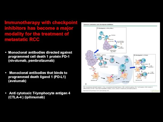 Immunotherapy with checkpoint inhibitors has become a major modality for the