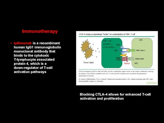 Immunotherapy Ipilimumab is a recombinant human IgG1 immunoglobulin monoclonal antibody that