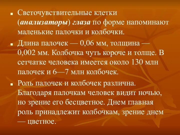 Светочувствительные клетки (анализаторы) глаза по форме напоминают маленькие палочки и колбочки.