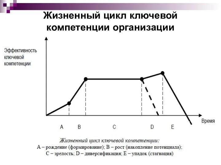 Жизненный цикл ключевой компетенции организации