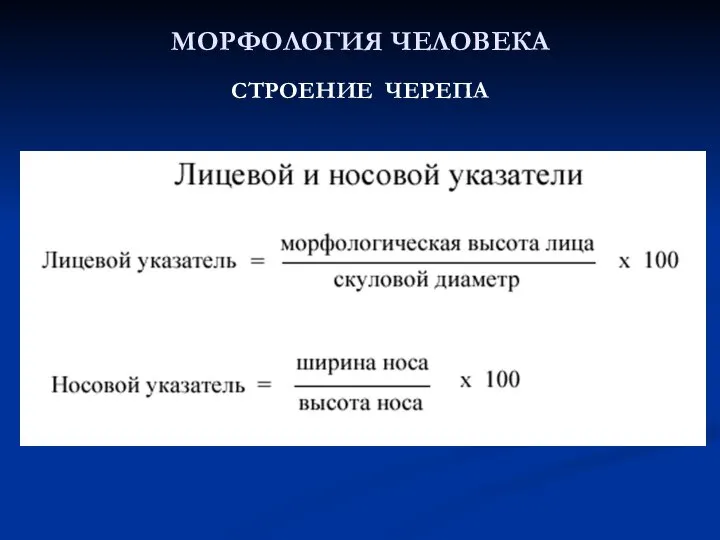 МОРФОЛОГИЯ ЧЕЛОВЕКА СТРОЕНИЕ ЧЕРЕПА