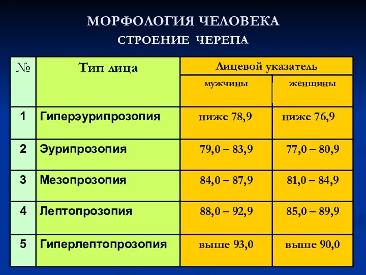 МОРФОЛОГИЯ ЧЕЛОВЕКА СТРОЕНИЕ ЧЕРЕПА