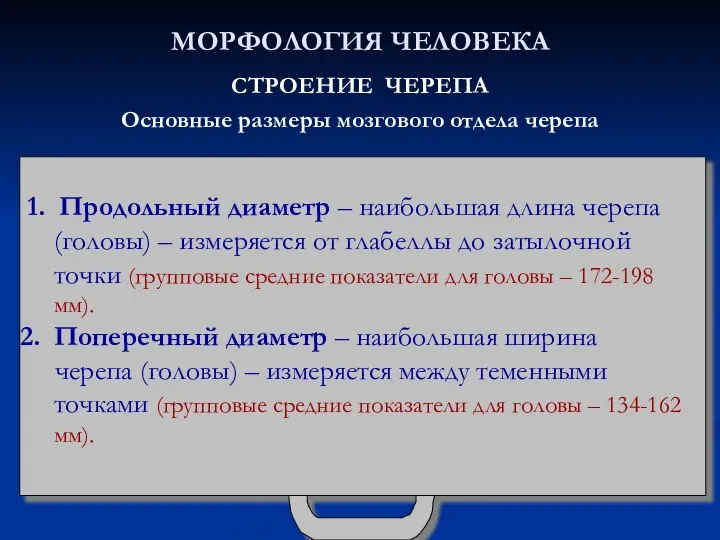 МОРФОЛОГИЯ ЧЕЛОВЕКА СТРОЕНИЕ ЧЕРЕПА Основные размеры мозгового отдела черепа 1. Продольный