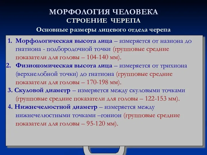 МОРФОЛОГИЯ ЧЕЛОВЕКА СТРОЕНИЕ ЧЕРЕПА Основные размеры лицевого отдела черепа 1. Морфологическая