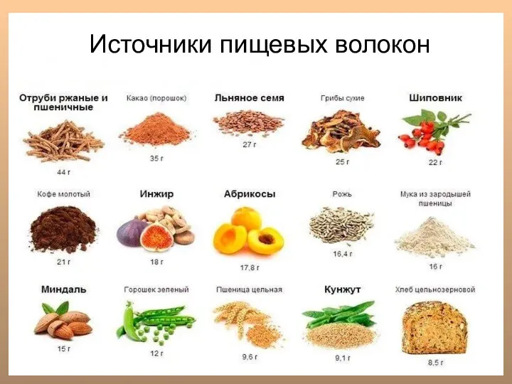 Источники пищевых волокон