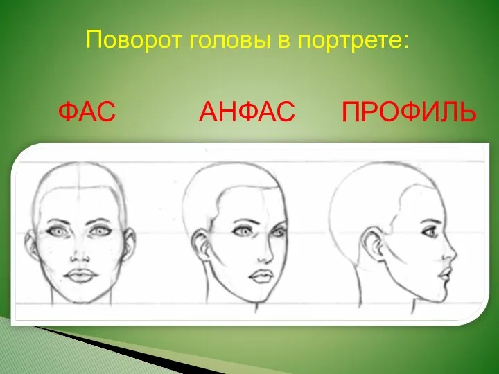 Поворот головы в портрете: ФАС АНФАС ПРОФИЛЬ