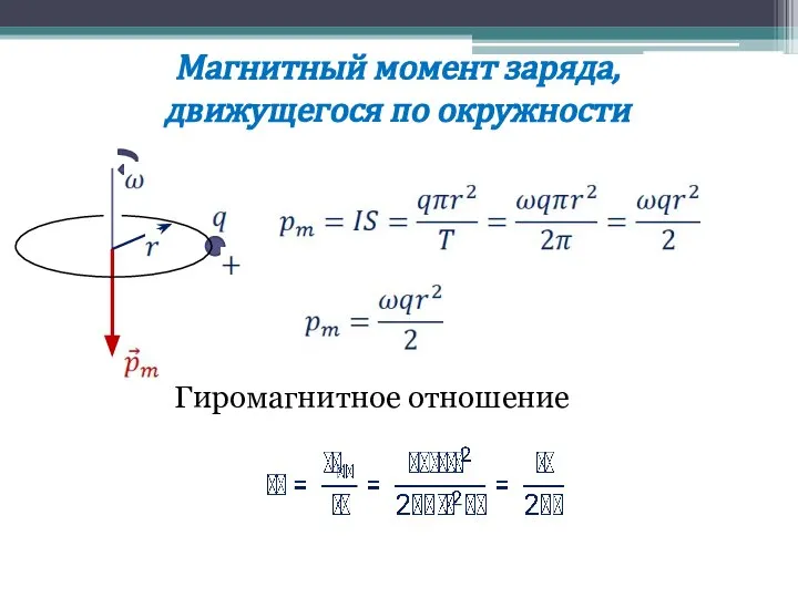 Магнитный момент заряда, движущегося по окружности Гиромагнитное отношение