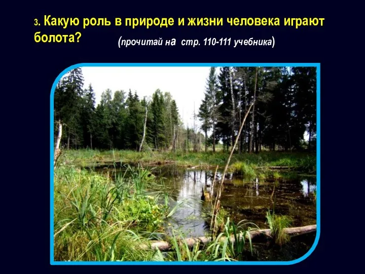 (прочитай на стр. 110-111 учебника) 3. Какую роль в природе и жизни человека играют болота?