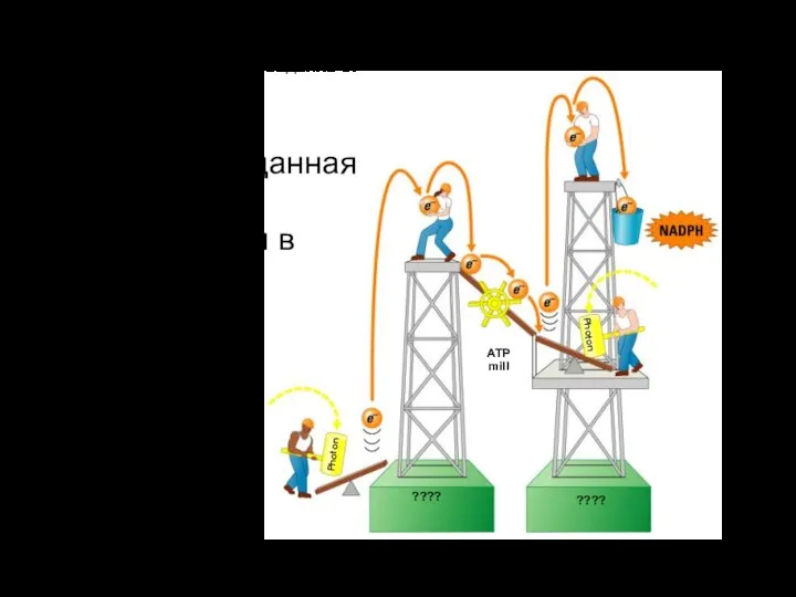 Photon Photon ???? ???? ATP mill Как работает данная схема? Какие системы в основе? Задание 3.