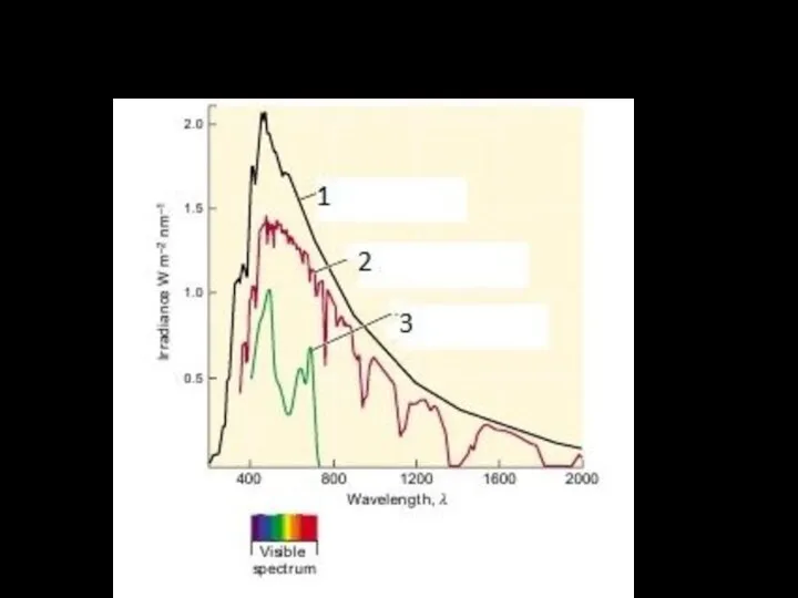 Задание 7. Какие спектры излучения представлены на графике?