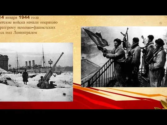 С 14 января 1944 года советские войска начали операцию по разгрому немецко-фашистских войск под Ленинградом