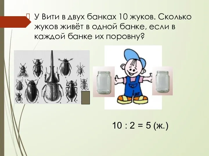 У Вити в двух банках 10 жуков. Сколько жуков живёт в