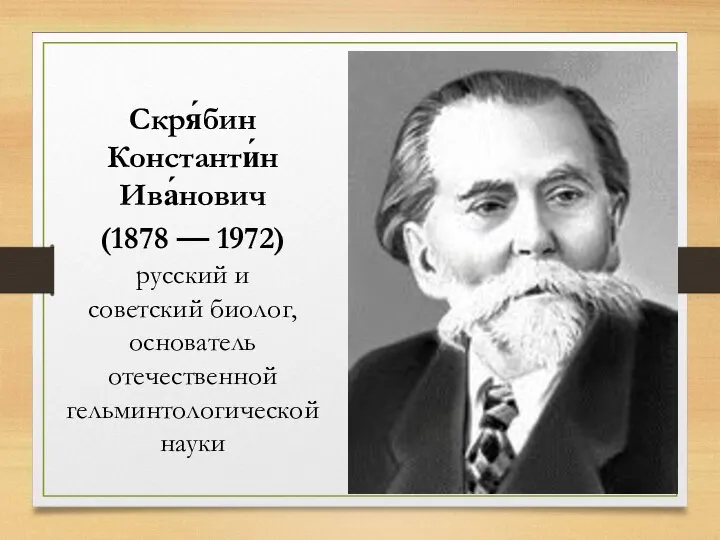 Скря́бин Константи́н Ива́нович (1878 — 1972) русский и советский биолог, основатель отечественной гельминтологической науки