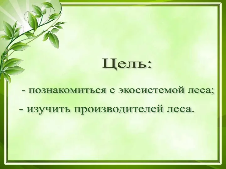 Цель: - познакомиться с экосистемой леса; - изучить производителей леса.