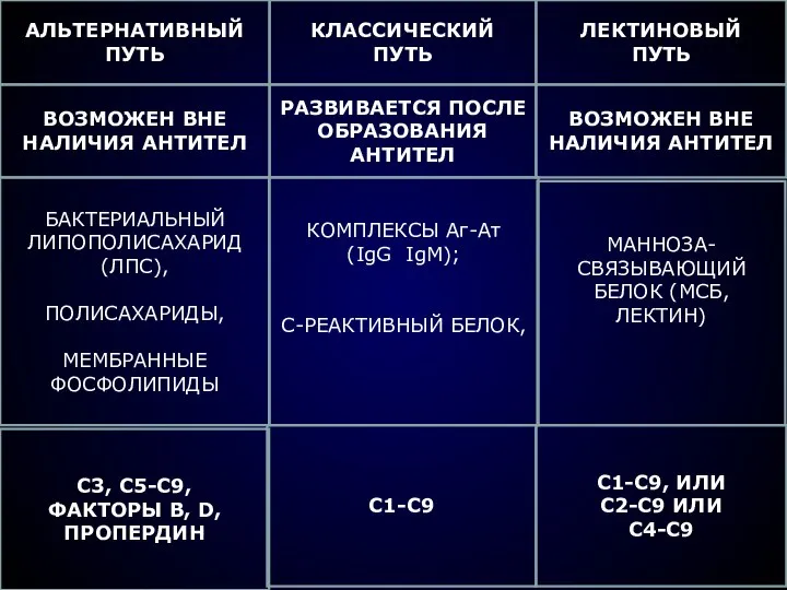 АЛЬТЕРНАТИВНЫЙ ПУТЬ КЛАССИЧЕСКИЙ ПУТЬ ЛЕКТИНОВЫЙ ПУТЬ ВОЗМОЖЕН ВНЕ НАЛИЧИЯ АНТИТЕЛ РАЗВИВАЕТСЯ