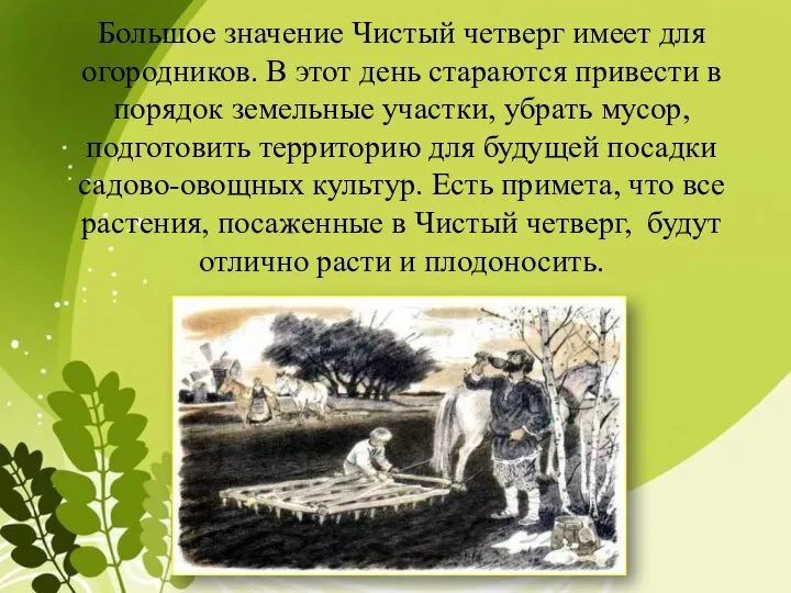 Большое значение Чистый четверг имеет для огородников. В этот день стараются