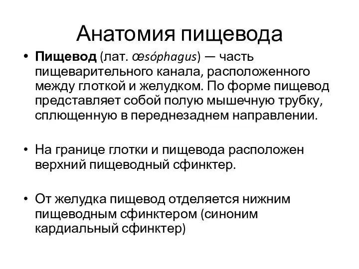 Анатомия пищевода Пищевод (лат. œsóphagus) — часть пищеварительного канала, расположенного между