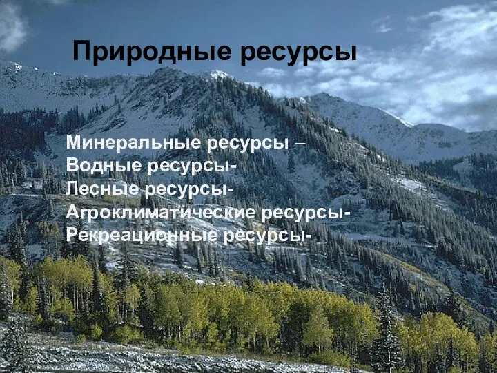 Природные ресурсы Минеральные ресурсы – Водные ресурсы- Лесные ресурсы- Агроклиматические ресурсы- Рекреационные ресурсы-