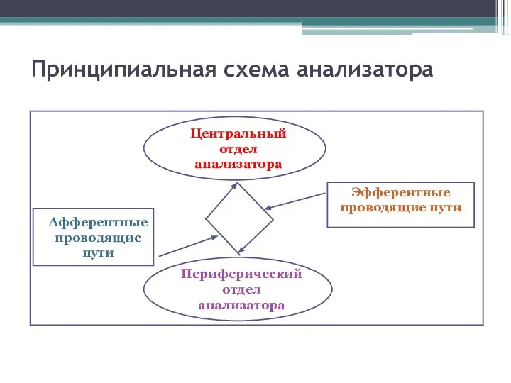 Принципиальная схема анализатора