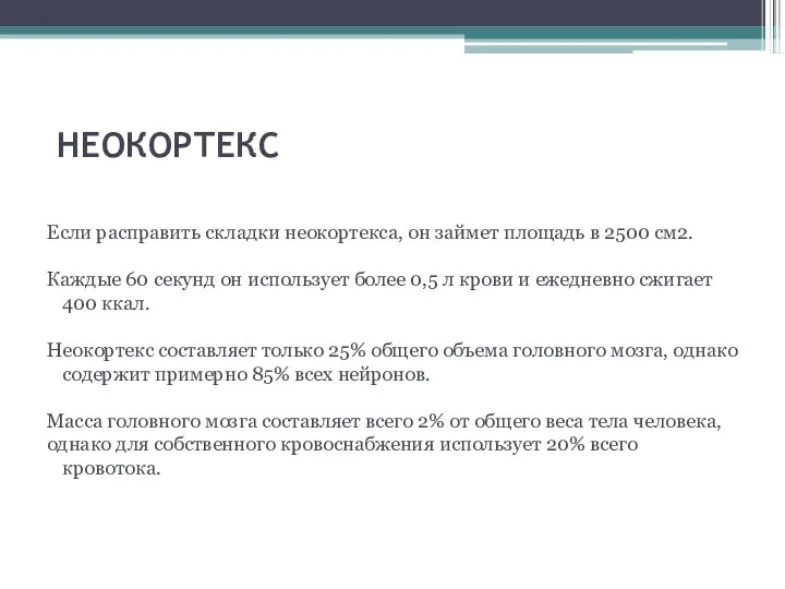 НЕОКОРТЕКС Если расправить складки неокортекса, он займет площадь в 2500 см2.