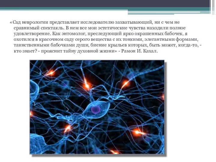 «Сад неврологии представляет исследователю захватывающий, ни с чем не сравнимый спектакль.